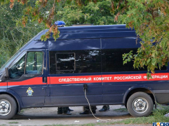 Краснодарка зарезала двух родных дочерей