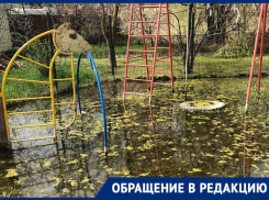 «Наше болото уже квакает»: на детской площадке в Краснодаре появились лягушки