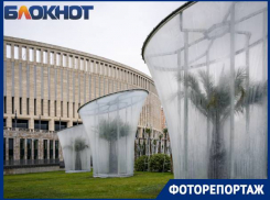 Светящийся шалфей, гирлянды и деревья под куполом: парк Галицкого готовят к зимней спячке 