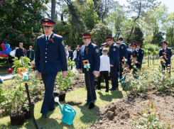 Сочинские следователи высадили в честь Дня Победы аллею сакур