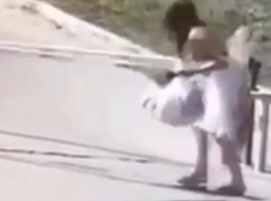 Краснодарские «принцессы» идут напролом через шлагбаумы