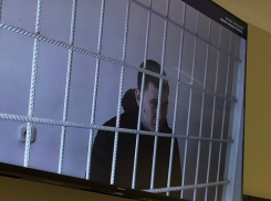 Пассажиру поезда дали 3,5 года строгача за укушенного полицейского на Кубани