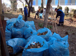 Волонтеры Сочи протестуют: «Нам надоело убирать ваш мусор»