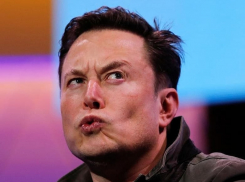 Озвучена стоимость хайпового приглашения Илона Маска в Краснодар