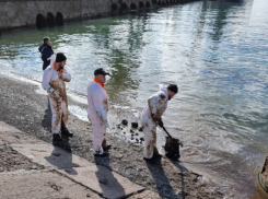 В Туапсе разлилась нефть у городского пляжа