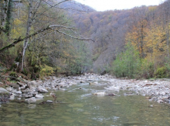 Ущерб от наводнений оценили в Минприроды Кубани 