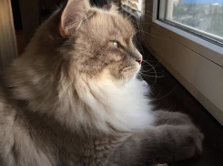 От -8 до +12 градусов ожидается на Кубани