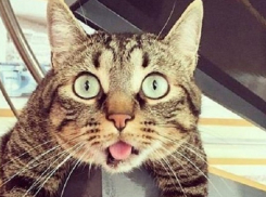 В Краснодаре ожидается потепление до плюс 18 градусов