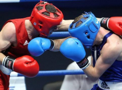 Столицей чемпионата мира по боксу-2019 выбран Сочи