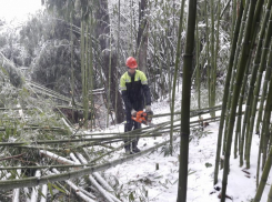 Энергетики восстановили энергоснабжение 50% жителей, пострадавших от природной стихии в Сочи