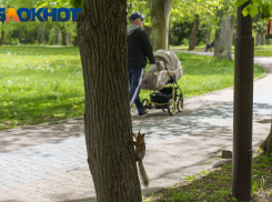 МЧС предупредило о шторме и выходе рек из берегов в Краснодарском крае 6-8 мая