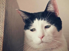 Без солнца проведут последний рабочий день недели жители и гости Краснодара