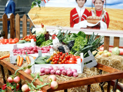 Отдыхающие на Кубани все больше проявляют интерес к агротуризму