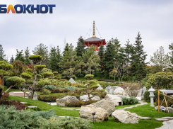 Краснодарцам предлагают за деньги постоять в очереди за QR-кодом в Японский сад