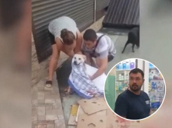 Избивший до полусмерти раненую дворнягу кубанец отделался ограничением свободы