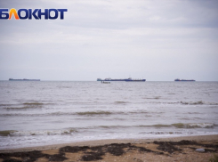 ФАС завела дело на оператора грузового терминала в порту Тамань