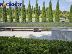 В Краснодарском крае завтра будет ясно и ещё жарче – до 35-37 градусов