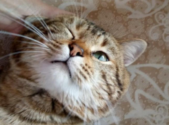 Дождь и грозы обрушатся на Краснодар 