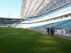 Систему автоматической фиксации гола установят на сочинском «Фиште»