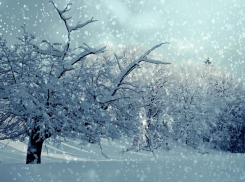 В МЧС рассказали, по каким городам Кубани сильнее всего ударит надвигающаяся непогода 