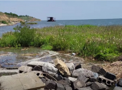 Размытие кладбищ и скотомогильников, холера и гибель живого: что грозит Чёрному морю после прорыва дамбы Каховской ГЭС