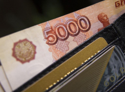 В Краснодаре погасили 22,6 млн рублей задолженности по зарплатам сотрудникам волейбольного клуба «Динамо»