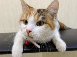 Берегите себя: в Краснодаре погода еще больше испортится