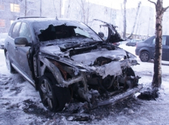 Полиция задержала банду поджигателей машин в Ейске