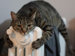 На Кубани ожидается резкое похолодание и дождь