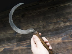  На Кубани мужчина с серпом залез в дом к пенсионерке и украл все ее деньги 