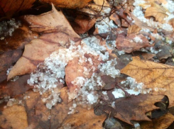 Экстренное предупреждение по заморозкам объявили на Кубани 