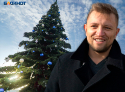  «Это повторится еще», - бизнесмен, украсивший главную елку Краснодара, о вандализме жителей