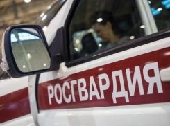 Стали известны подробности об окровавленном мужчине, что гулял в Новороссийске
