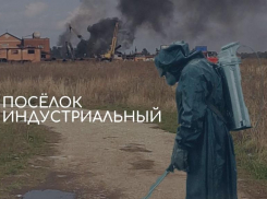 «Краснодарский Шиес», - активисты вновь заговорили об острых экологических проблемах