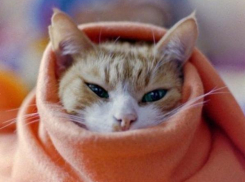 Холодно и зябко будет даже в Сочи: синоптики спрогнозировали погоду на Кубани