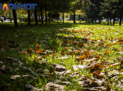 На Краснодарский край движутся грозы с ливнями и сильным ветром