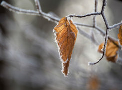 МЧС предупреждает жителей Кубани о налипании мокрого снега