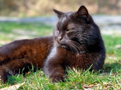 В Краснодарском крае снова потеплеет