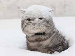 Метель сменится дождем в последний день осени в Краснодаре