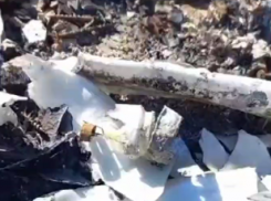 Покрышки и ртутные лампочки: в Краснодаре «чёрные» мусорщики выбросили опасные отходы