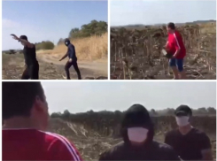 У фермера на Кубани пытались «отжать» урожай мужчины в масках - СМИ