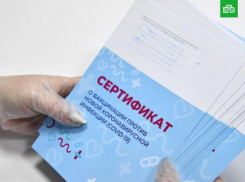 В ТРЦ Краснодара привлекут волонтеров для сопровождения людей без QR-кодов