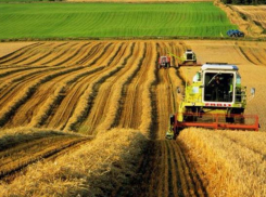 Агропромышленный комплекс Кубани получит более 200 миллионов рублей