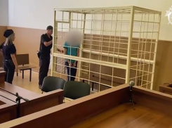 Сбивший и бросивший умирать на обочине 11-летнюю девочку водитель из Успенского района готовится к суду