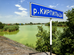 Пропавший в Краснодаре мужчина был найден в трусах «у дяди Юры»