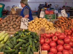 В ноябре понизились цены на продукты в Краснодарском крае 