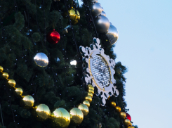 Краснодар стал лидером по дороговизне искусственных елок