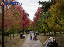МЧС предупредило краснодарцев о тумане и сильном ветре