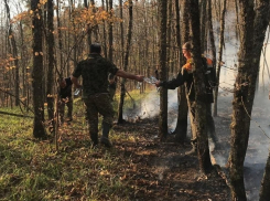 Из-за лесных пожаров в Северском районе Кубани ввели режим ЧС