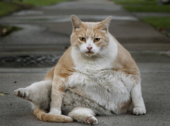 Погода на Кубани начинает «успокаиваться»